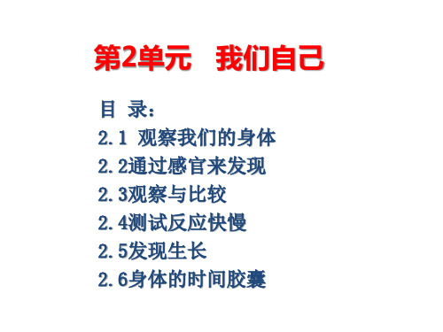 二年级科学下册第二单元《我们自己》全部教学课件(教科版)