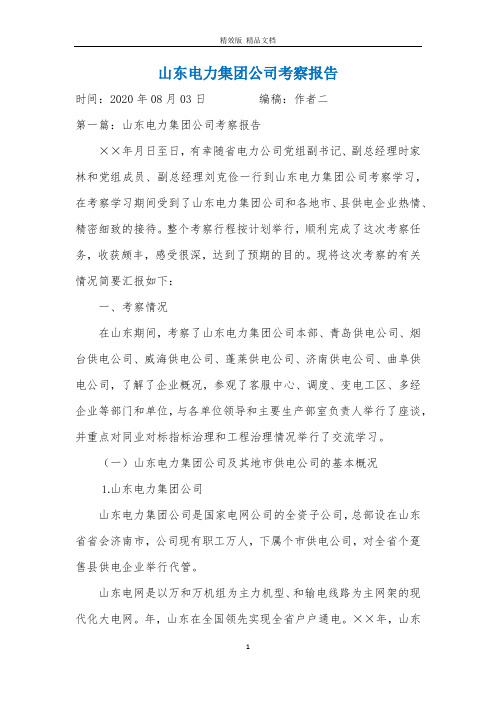 山东电力集团公司考察报告1