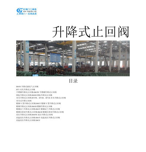 升降式止回阀