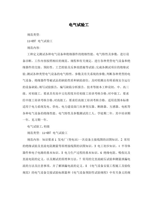 电气试验工