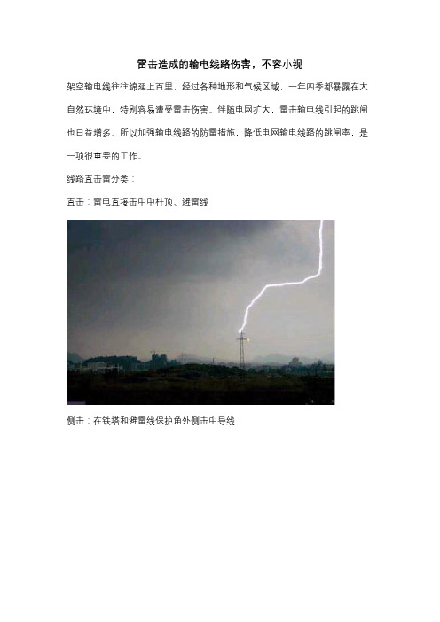雷击造成的输电线路伤害