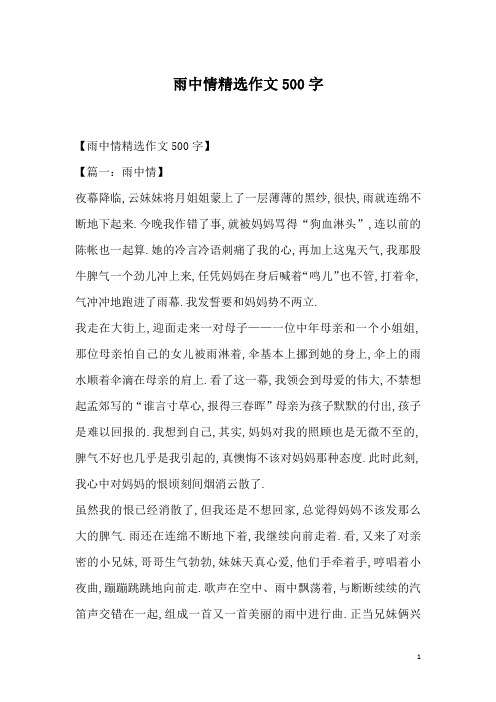 雨中情精选作文500字