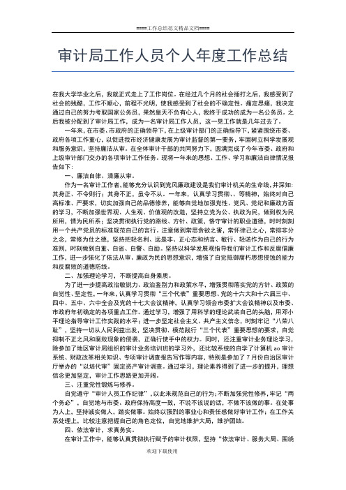 2019年最新审计局工作人员个人工作总结工作总结文档【六篇】
