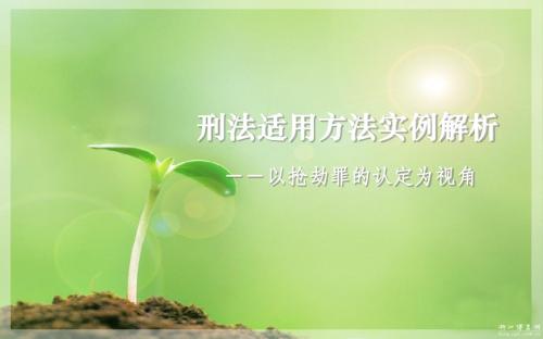 刑法适用方法实例解析 -讲课课件