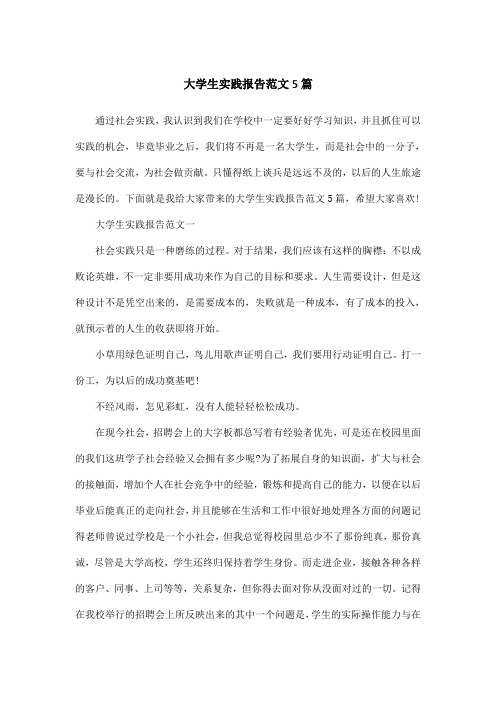 大学生实践报告范文5篇