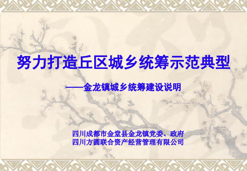 金堂金龙镇城乡统筹建设规划