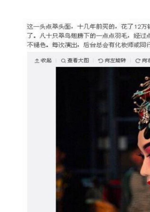 “点翠”之争