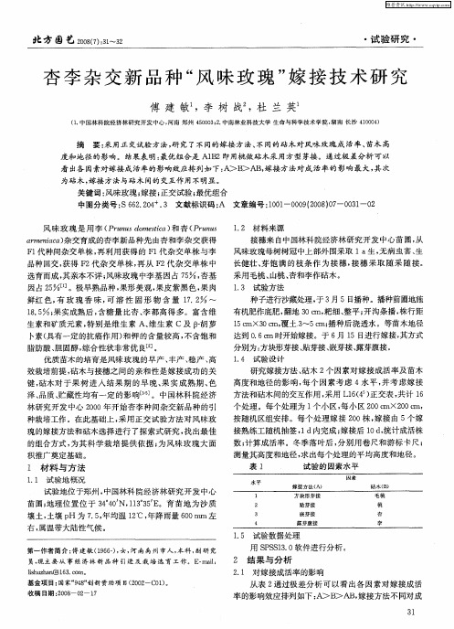 杏李杂交新品种“风味玫瑰”嫁接技术研究