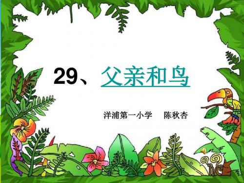 二年级语文上册29《父亲和鸟》课件.ppt
