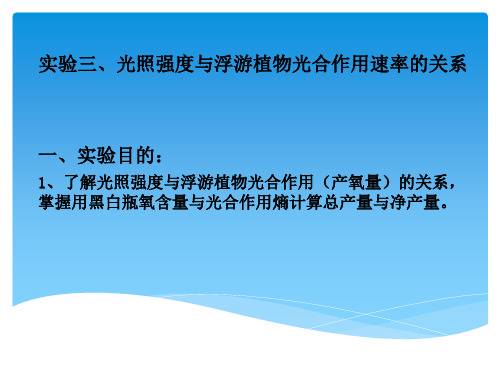 海洋生态学实验：实验三、光照强度与浮游植物光合作用速率的关系