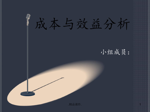 成本与效益分析经典.ppt