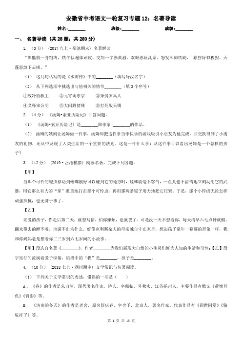 安徽省中考语文一轮复习专题12：名著导读