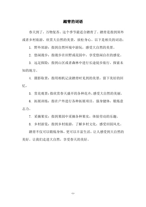 踏青的词语