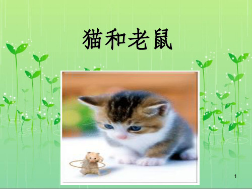 一年级语文下册《猫和老鼠》好