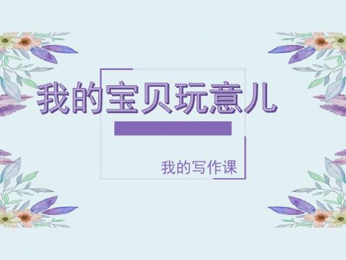 我的宝贝玩意儿(写作)