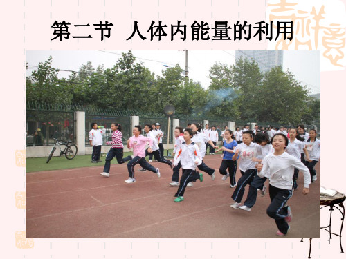 七年级生物下册322《人体怎样获得能量》济南版PPT课件