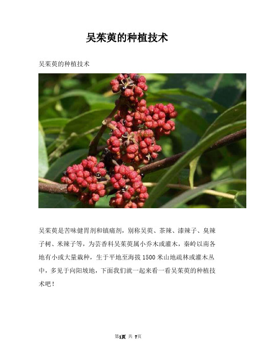 吴茱萸的种植技术