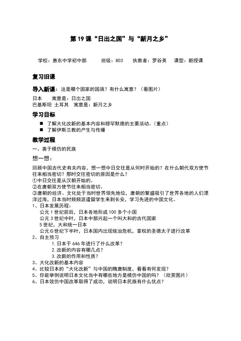 北师大版历史八上19课教案