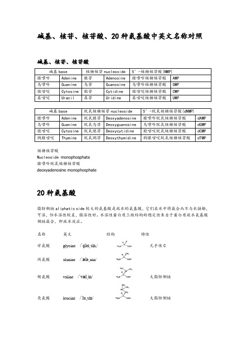 碱基、核苷、核苷酸、20种氨基酸中英文名称对照