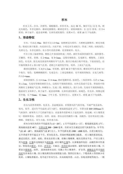 杉木基本资料