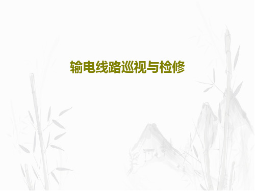 输电线路巡视与检修21页PPT