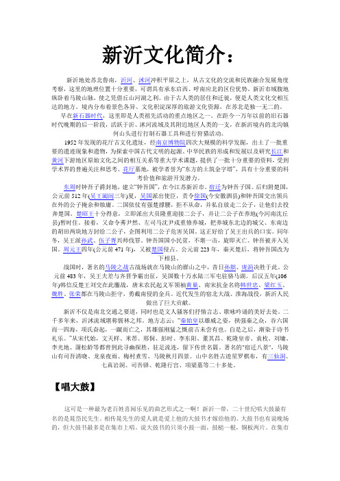 新沂文化简介