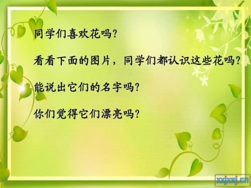 花之咏课件