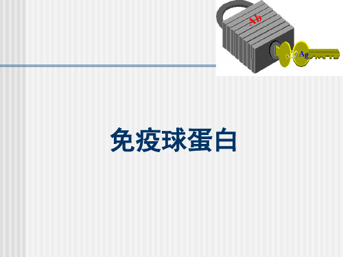 医学免疫学   免疫球蛋白.ppt