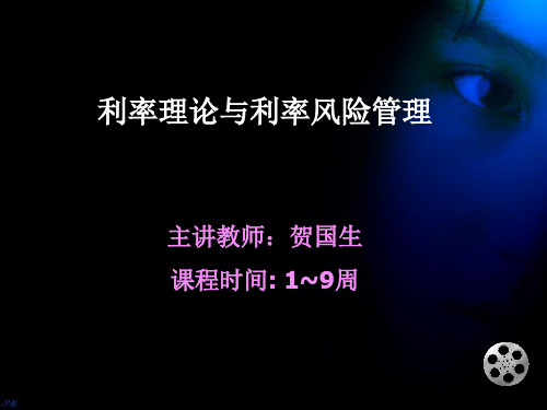 利率理论与利率风险管理课件3