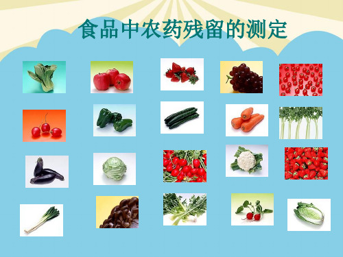 【优】食品中农药残留的测定最全PPT资料