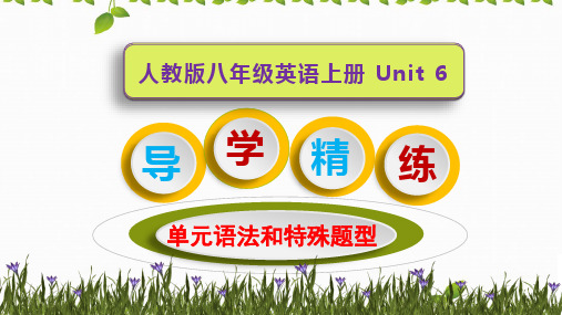 人教版八年级英语上册Unit 6 单元语法和特殊题型导学与精练