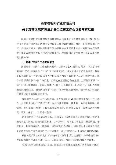 防治水工作会议落实汇报