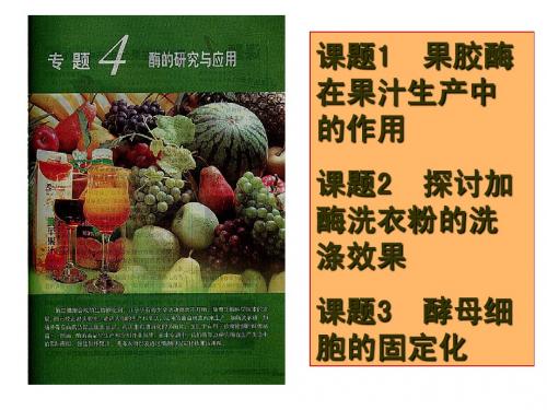 4.1果胶酶在果汁生产中的应用