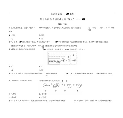 苏教版必修一ATP和酶第1课时作业