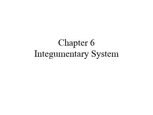 医学英语课件：Integumentary System
