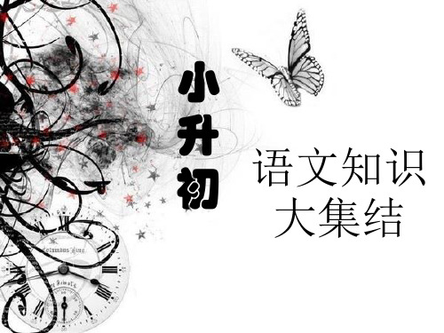 小升初语文推班知识大集结41536精选教学PPT课件