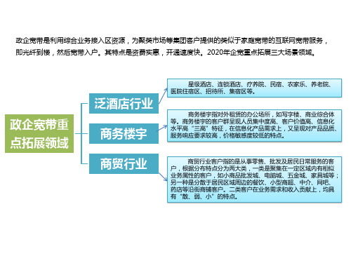 精典-电信业务-政企宽带网格培训