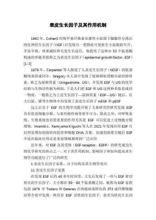 表皮生长因子及其作用机制