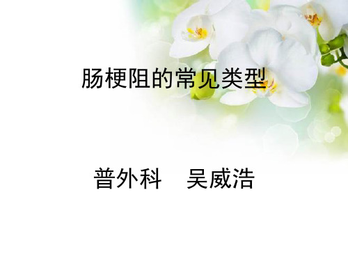 绞窄性肠梗阻PPT课件