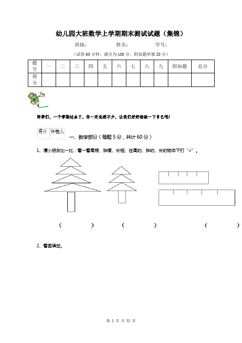 幼儿园大班数学上学期期末测试试题(集锦)