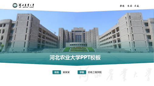81河北农业大学-答辩通用PPT模板30