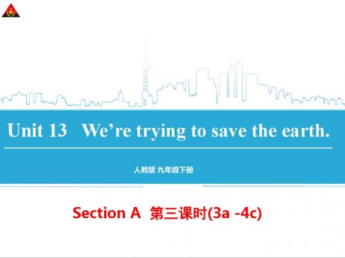 2014年新目标九年级英语Unit13(第三课时)实用课件