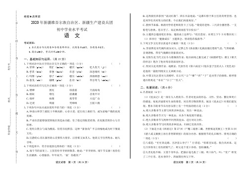 2020年新疆中考语文试卷(附答案与解析)