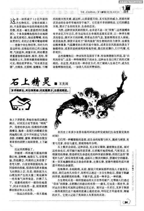 石上精灵