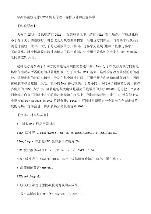 脉冲场凝胶电泳.