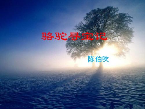 9.《骆驼寻宝记》课件