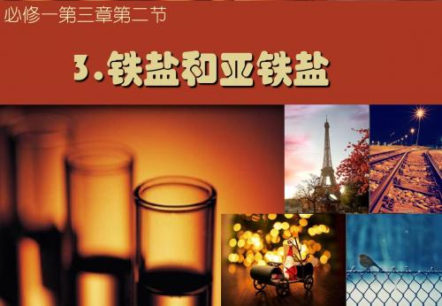 3.2.3铁盐和亚铁盐