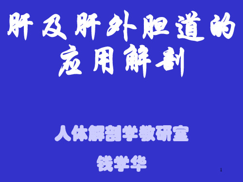 肝及肝外胆道的应用解剖讲诉PPT课件