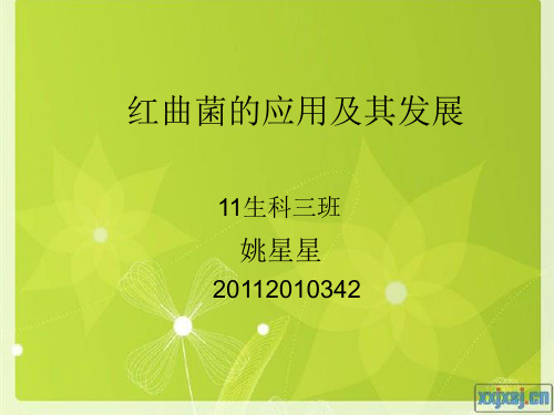 分子(红曲菌)