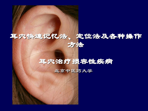 学习_耳穴快速记忆法定位法及各种操作方法
